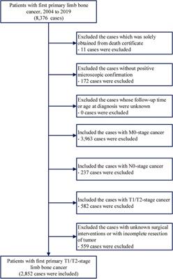 Limb-salvage surgery versus extremity amputation for early-stage bone cancer in the extremities: a population-based study